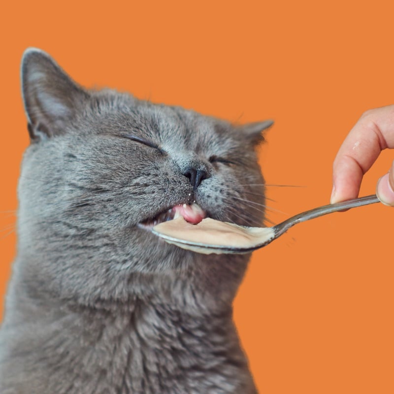 Eat
