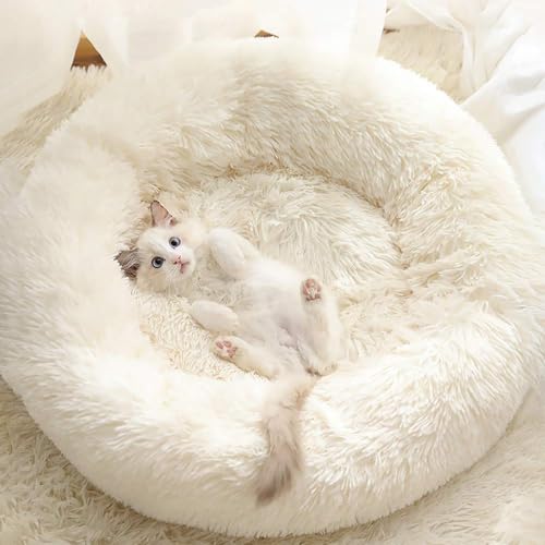 Gavenia 20″ Washable Donut Bed
