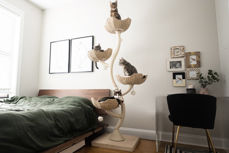 Mau Pets Ivy 4 Cat Tree