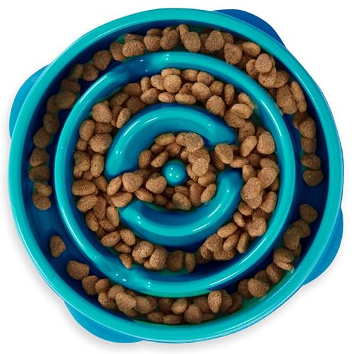 Outward Hound Fun Feeder