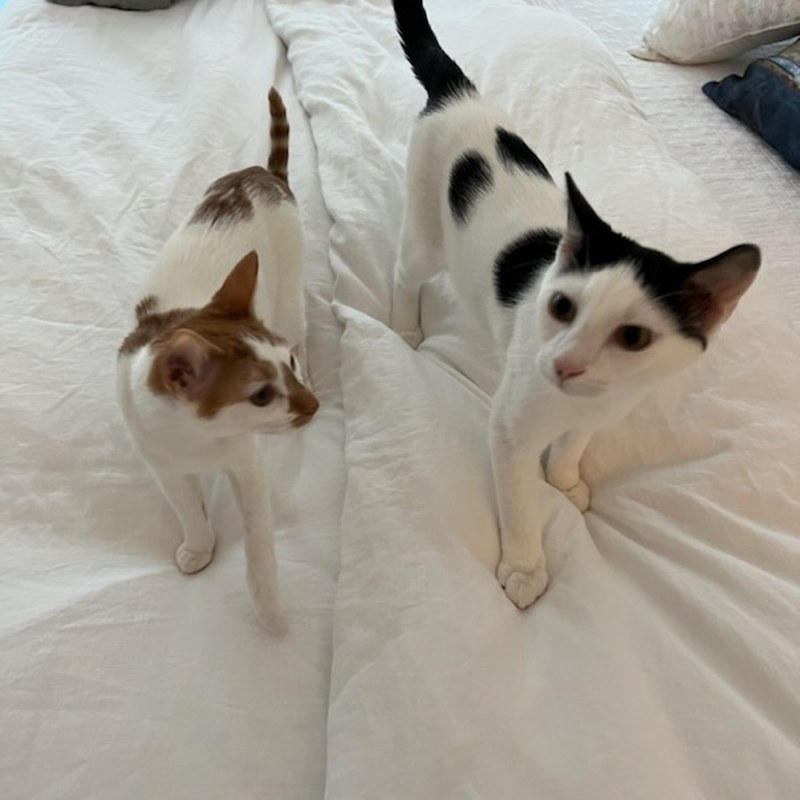 Thelma and Louis together, all grown up