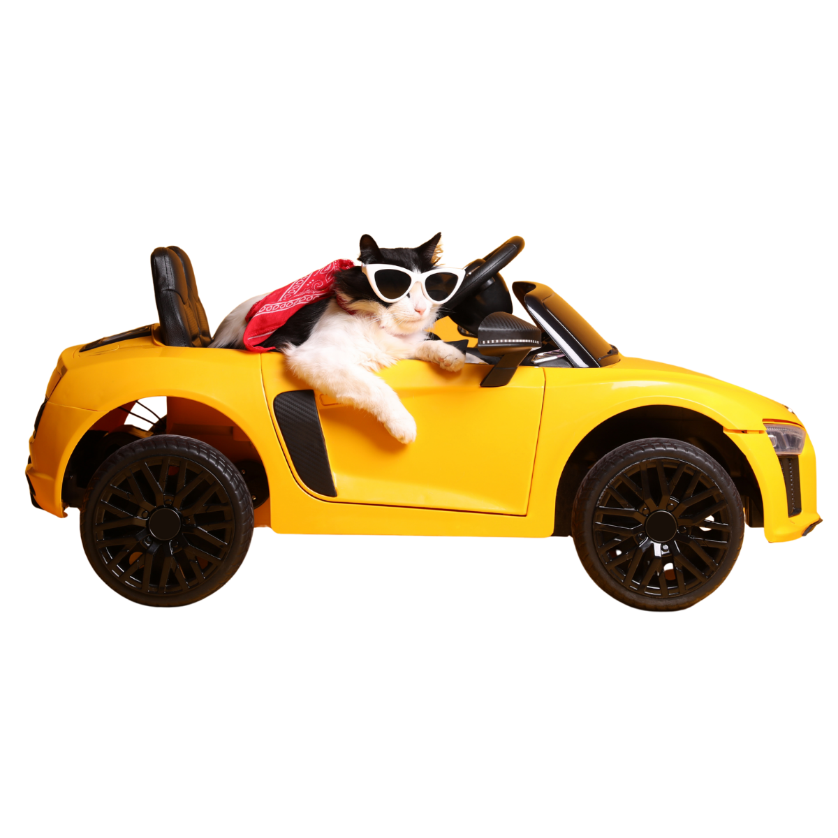 A cool cat in white sunglasses and a red bandana riding in a yellow toy convertible