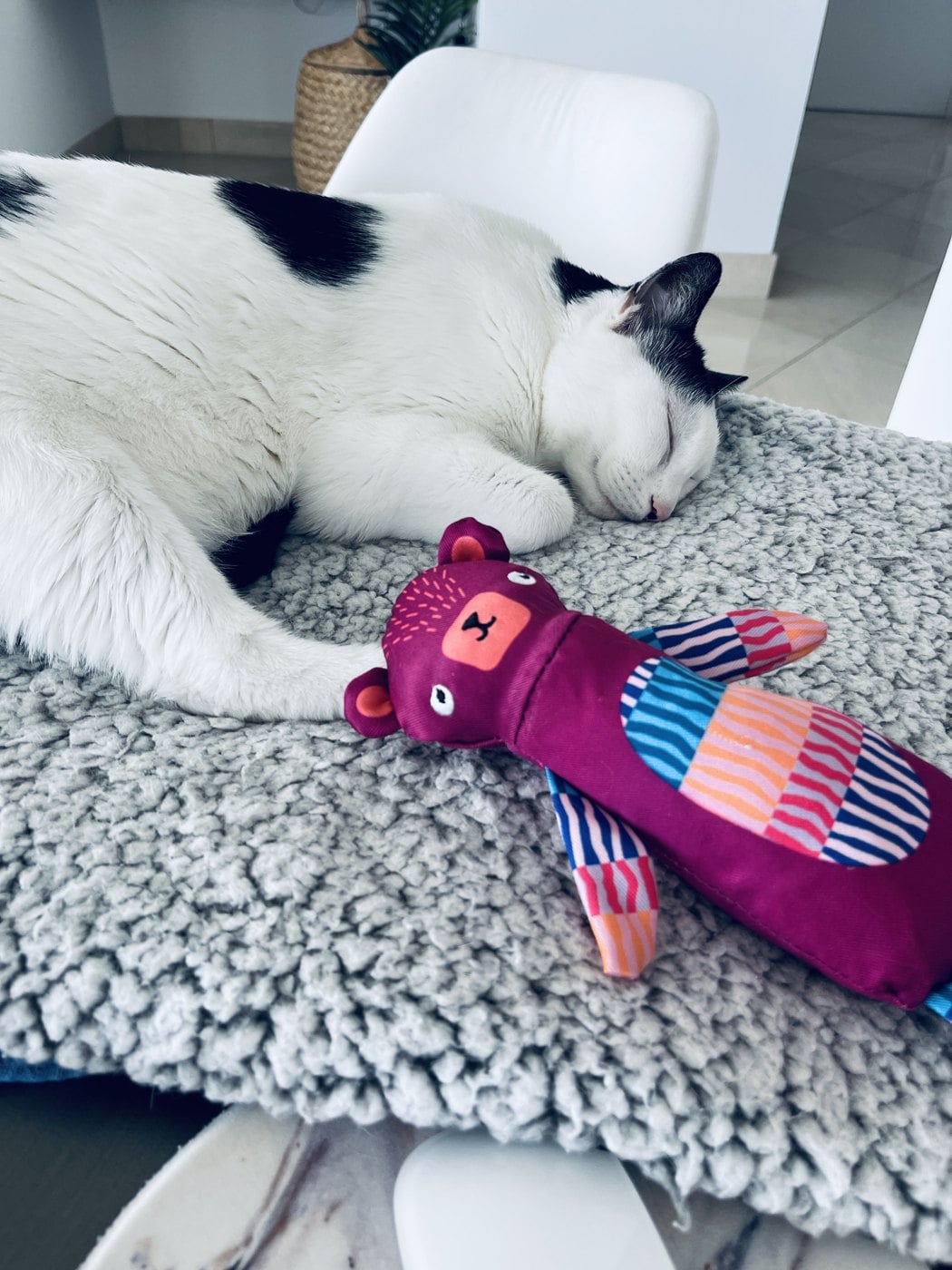 Louis asleep on a grey bed next to his plush toy