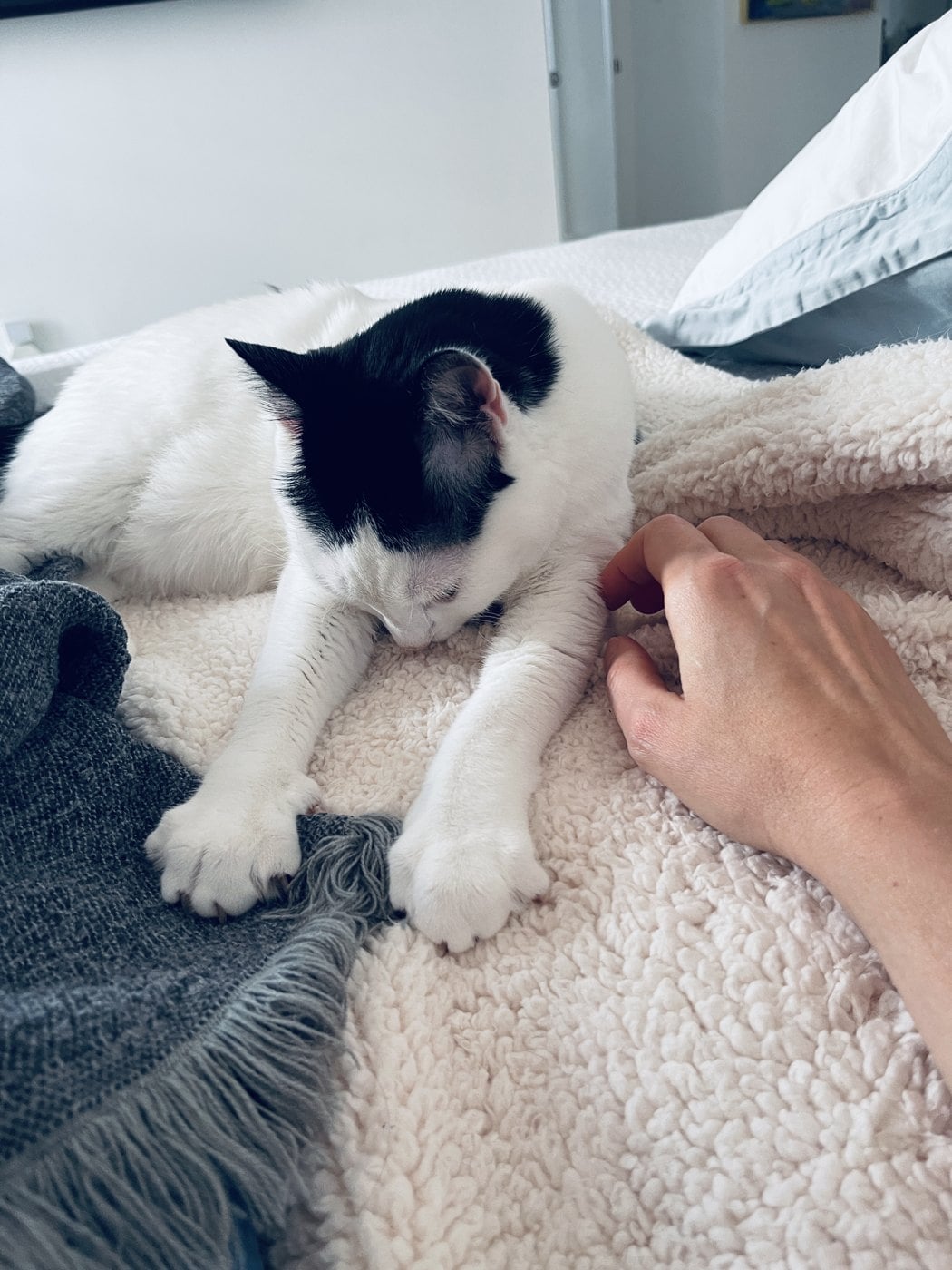 Louis lying content with his eyes closed as a hand reaches toward him
