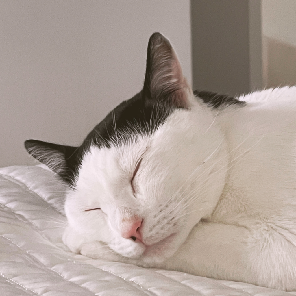 louis sleeping
