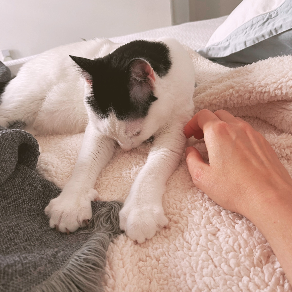 louis with his suckle blanket