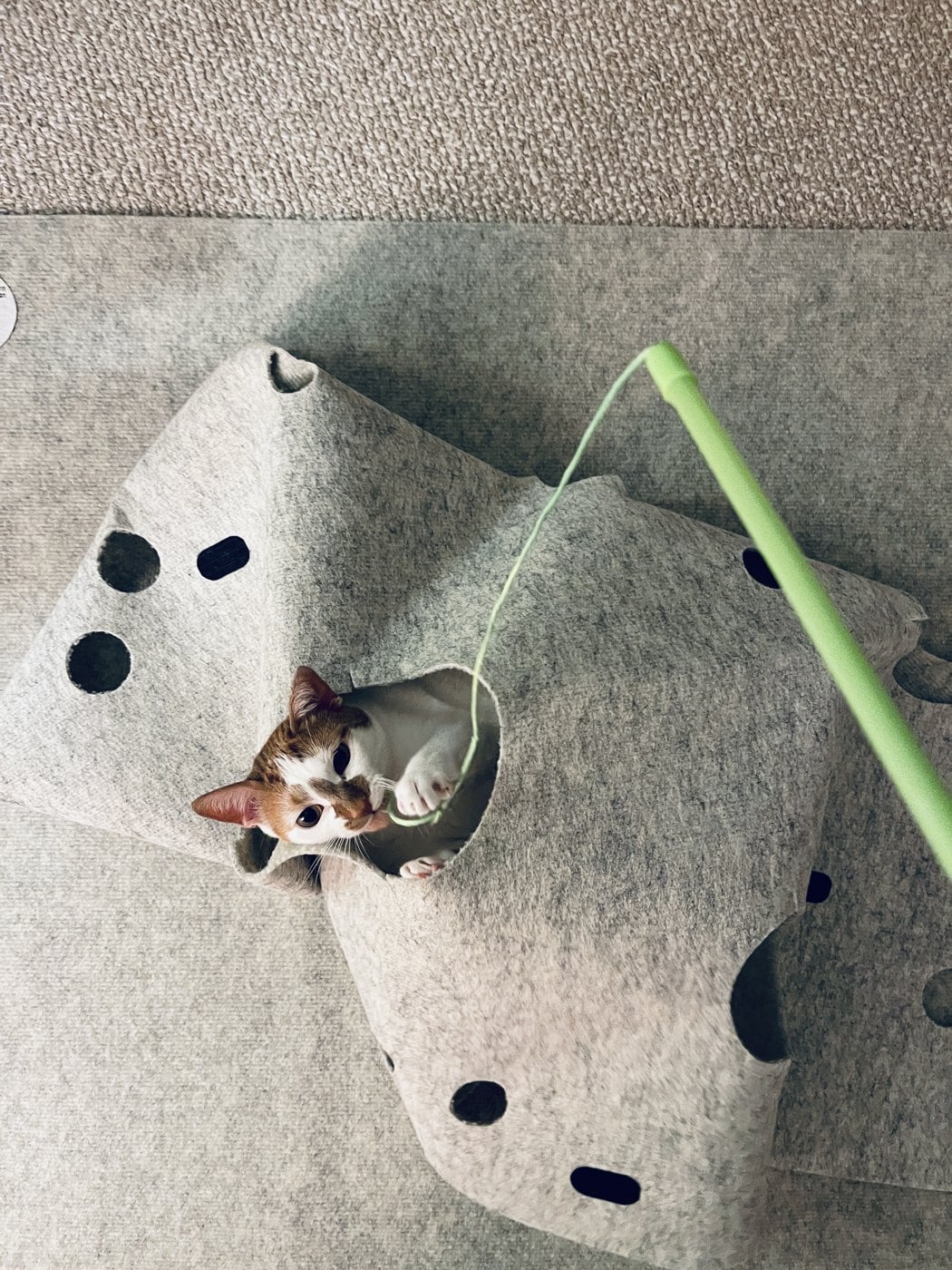 Thelma peeking out of a felt tunnel with a green wand toy