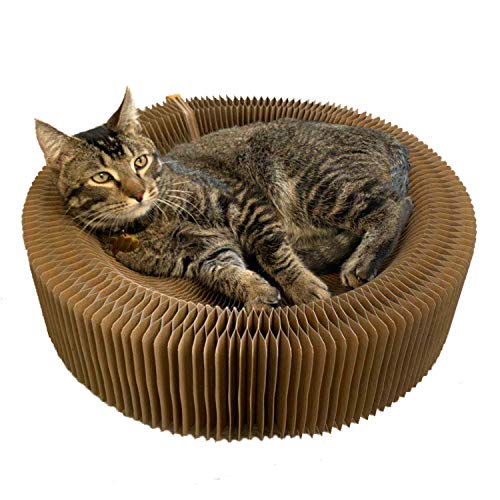 BobbyPet Cat Scratcher Lounge Bed - Collapsible Round Shape for Big Cat, Honeycomb Paper, 20 Inch