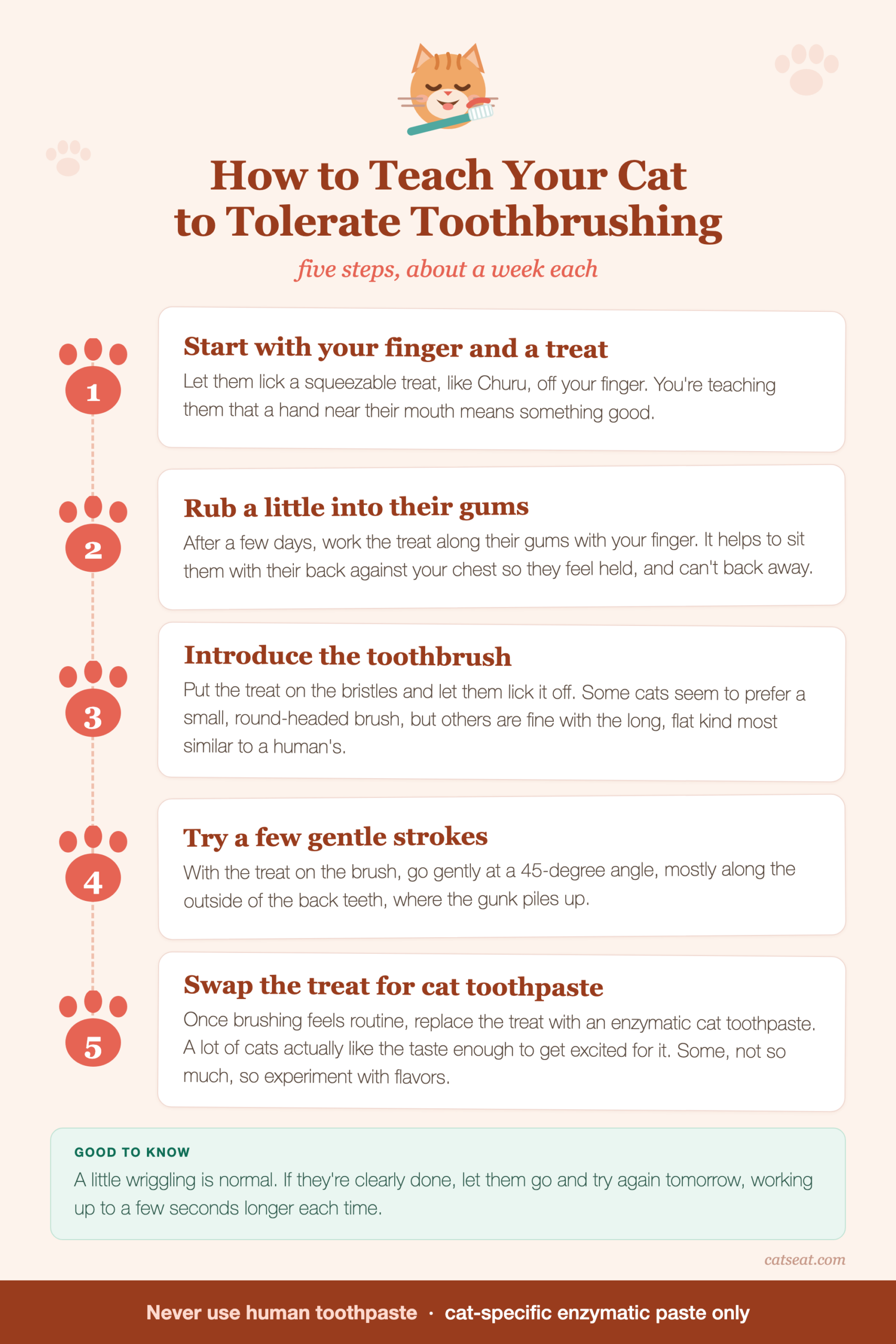 How to teach your cat to tolerate toothbrushing in five steps, about a week each: one, let them lick a squeezable treat like Churu off your finger; two, rub a little of the treat into their gums; three, introduce the toothbrush with the treat on the bristles; four, try a few gentle strokes at a 45-degree angle on the outside of the back teeth; five, swap the treat for enzymatic cat toothpaste, experimenting with flavors if they don't like the first one. Never use human toothpaste.