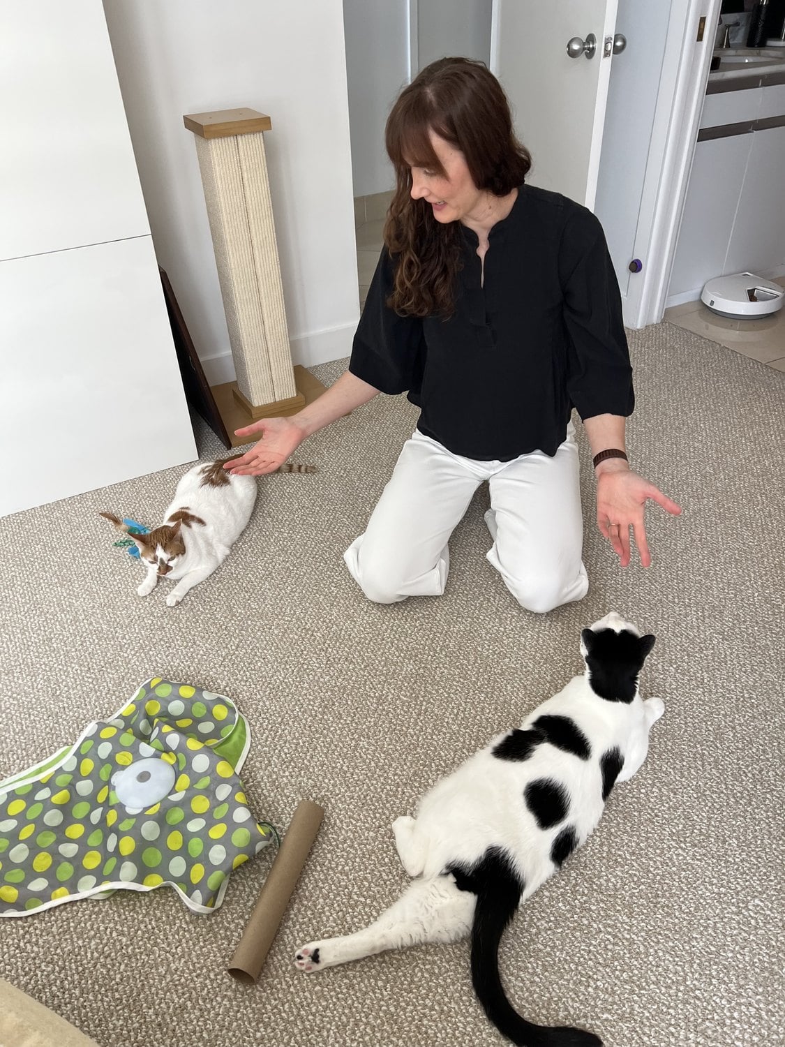 Lindsay kneeling on the carpet between Thelma and Louis, with cat toys on the floor