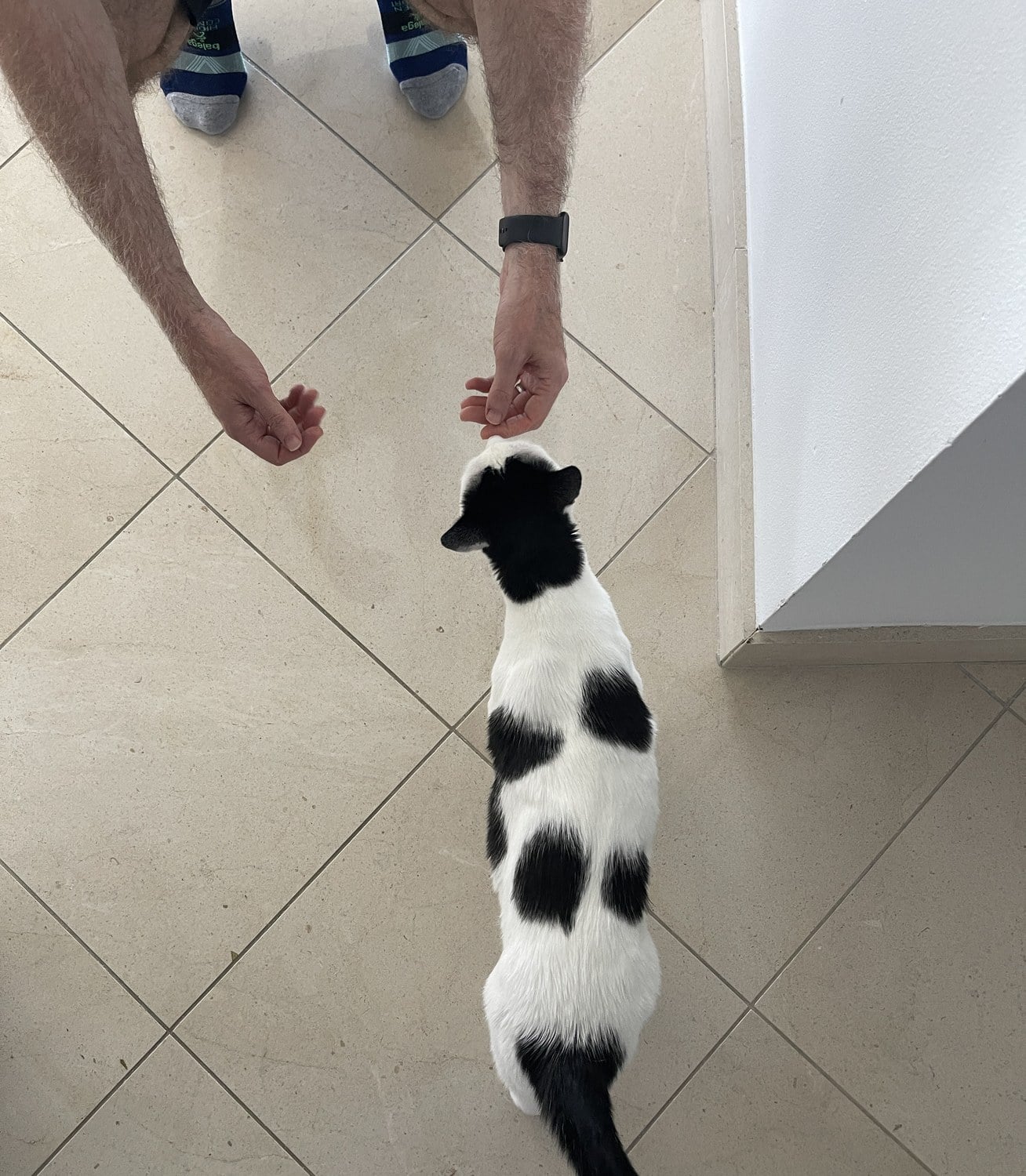 Louis walking toward Cory, who is crouched down on the tile floor with both hands held out