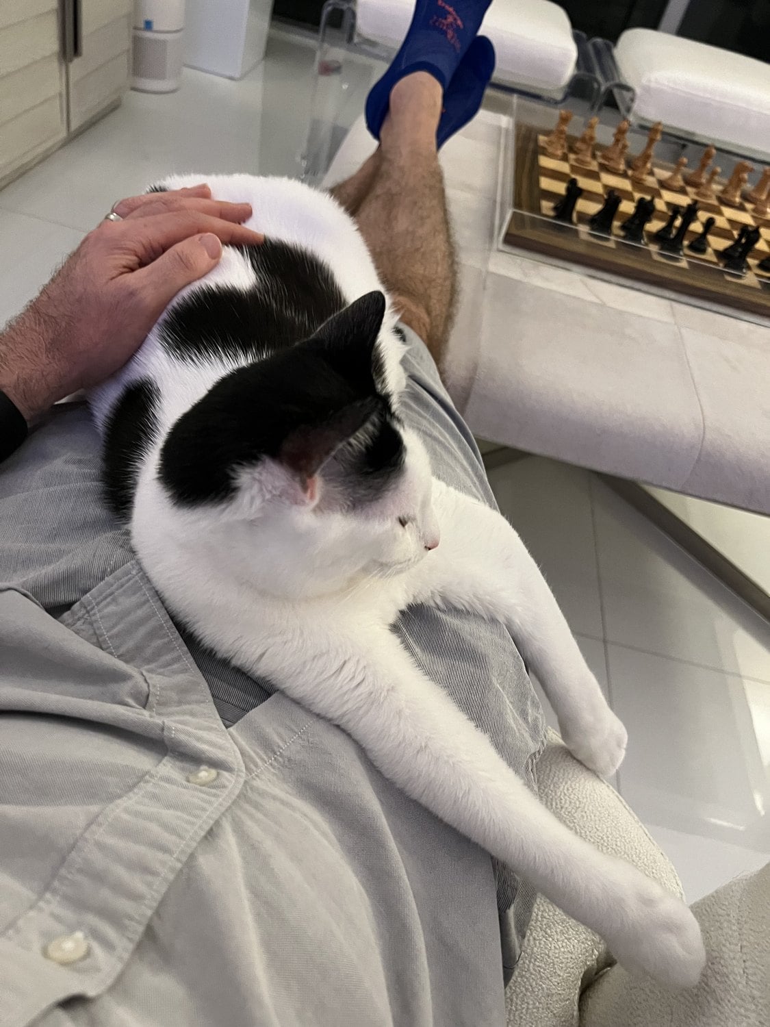 Louis lying on Cory's lap with Cory's hand resting on his back