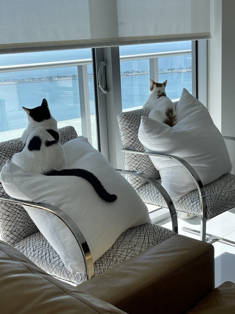 Louis and Thelma sitting on chairs looking out the window at the water