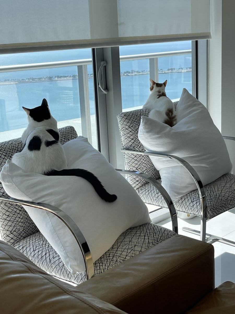 Louis and Thelma sitting on chairs looking out the window at the water