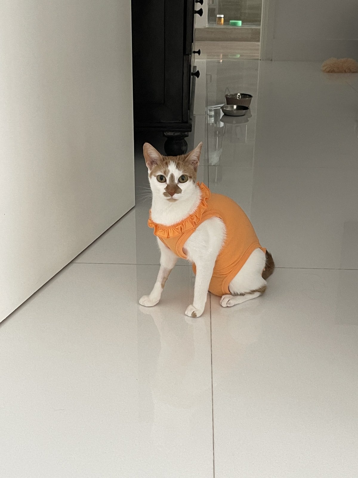 Thelma sitting in the hallway wearing her little orange onesie