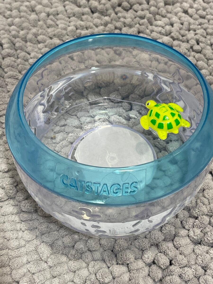 Thelma's plastic fish bowl with the toy turtle inside