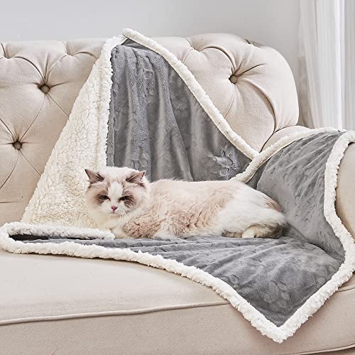 Qeils Waterproof Washable Cat Blanket
