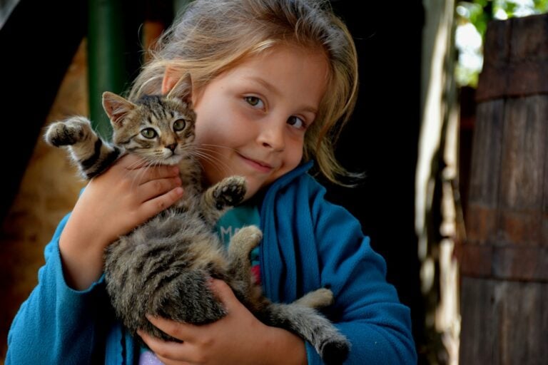 A smiling girl holding an awake tabby kitten
