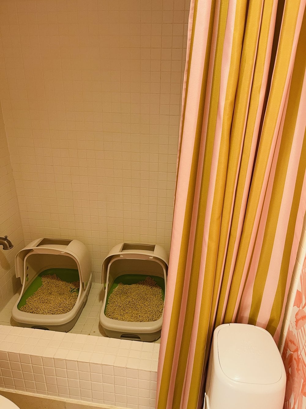 Our two covered Breeze litter boxes in the spare shower, with the Diaper Genie just outside the curtain