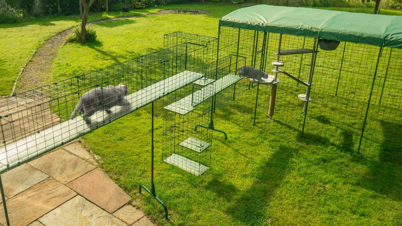 A complete Omlet Catio Tunnel route crossing a yard and connecting to a large catio