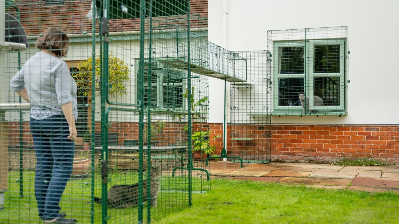 An Omlet Catio Tunnel connecting an exterior window box to a backyard catio