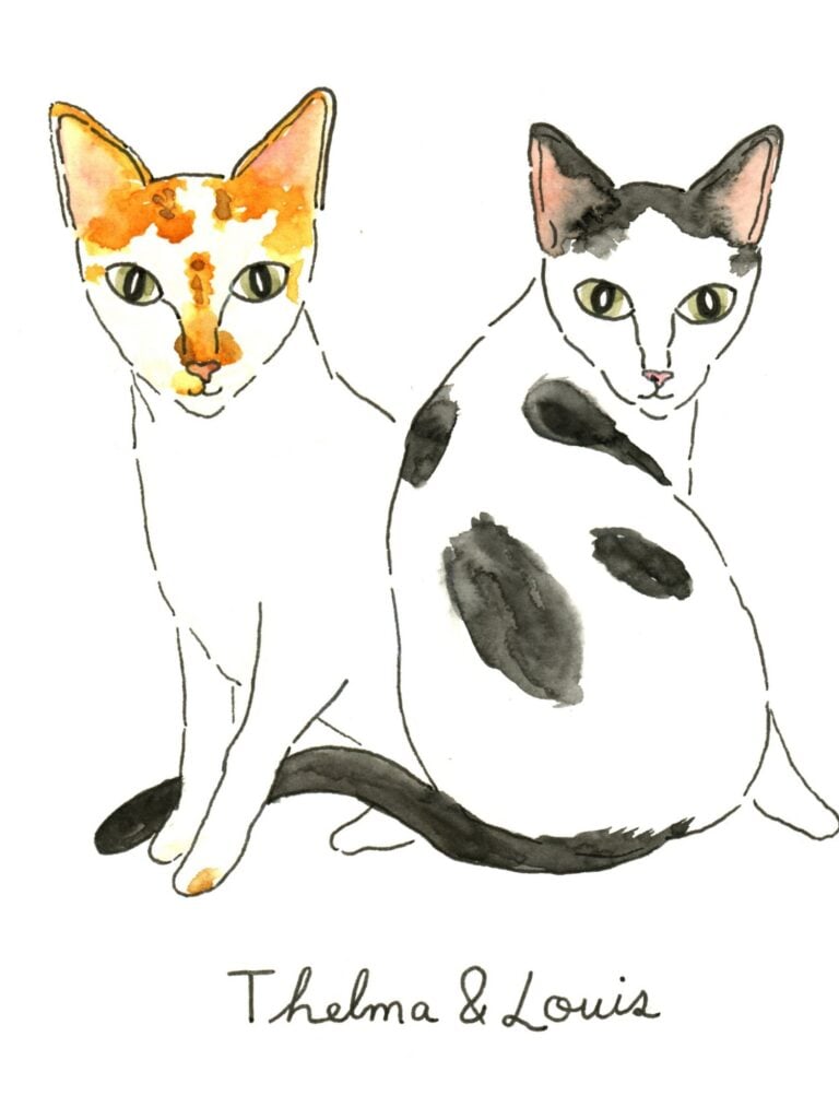 Watercolor illustration of Thelma, white with orange patches, and Louis, white with black patches, sitting side by side, captioned Thelma and Louis