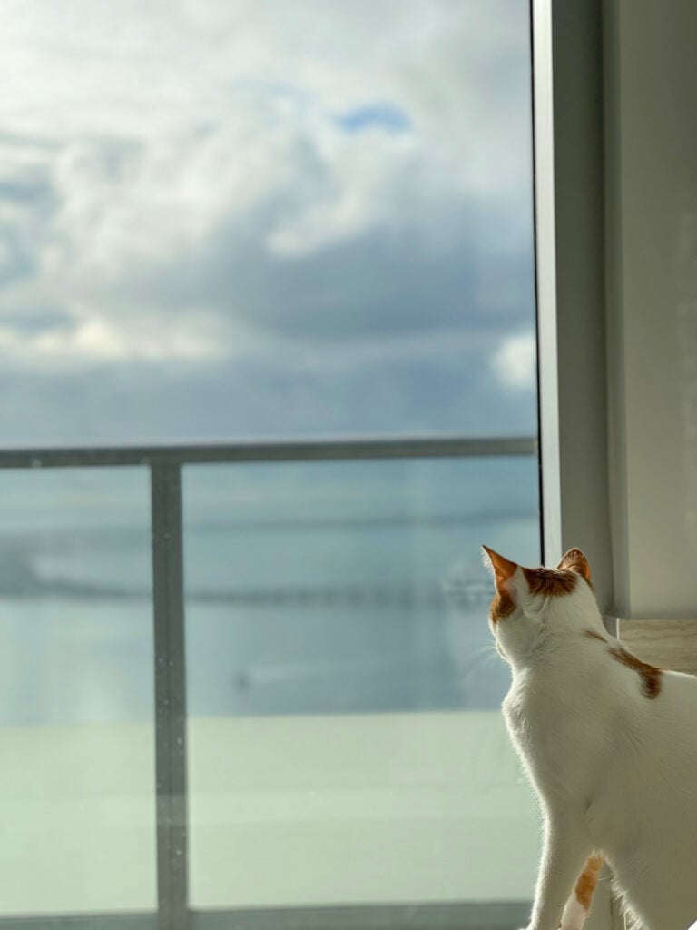 Thelma looking through an apartment window toward the water