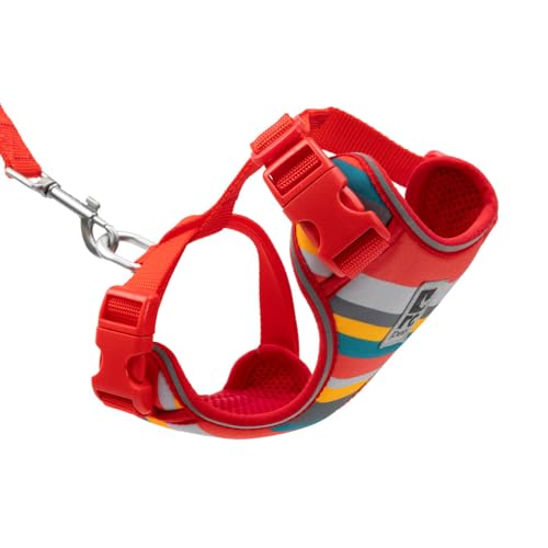 RC Pets Adventure Kitty Harness and Leash