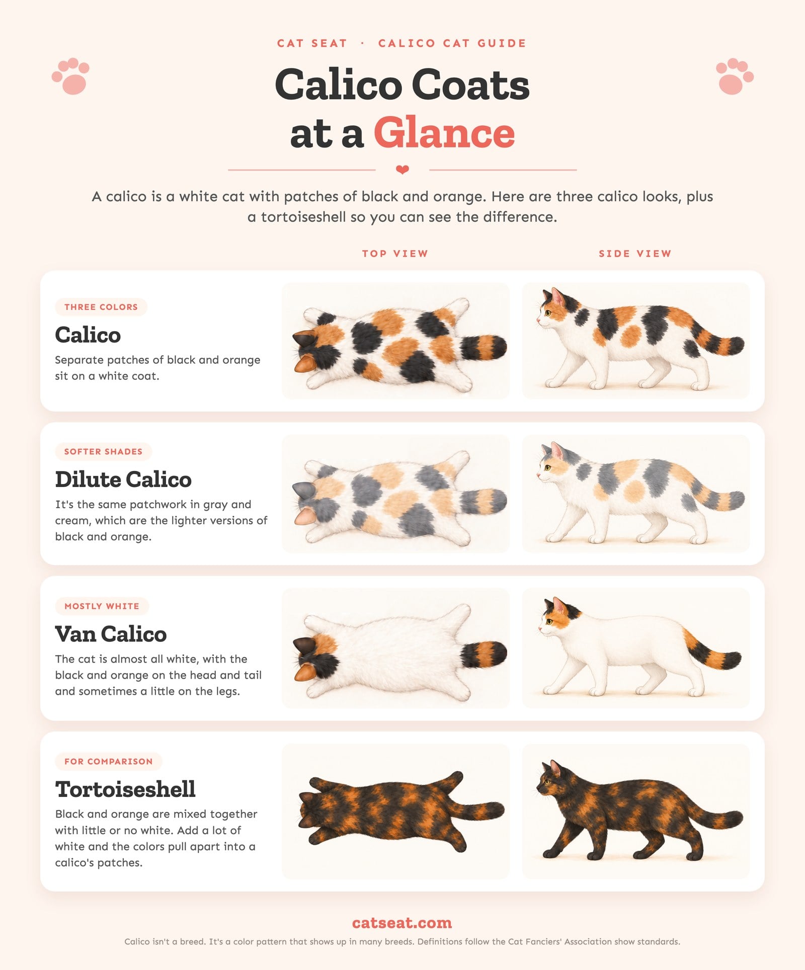 Diagram of three calico looks, calico, dilute calico and van calico, plus a tortoiseshell, each shown from the top and from the side