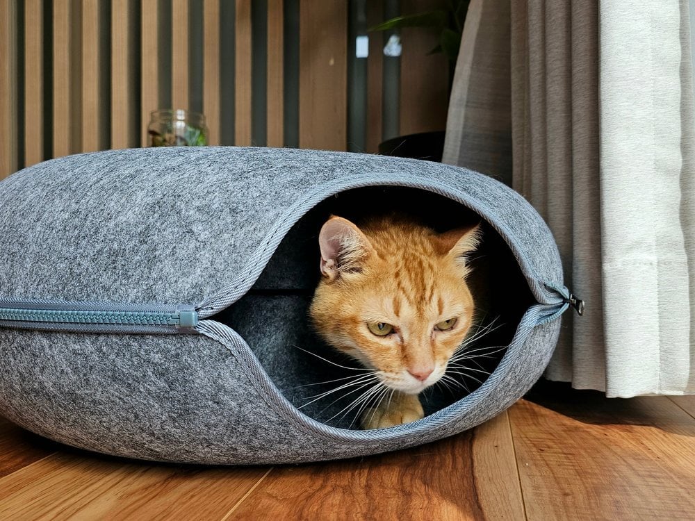 An orange cat peeking out of an enclosed felt cave bed