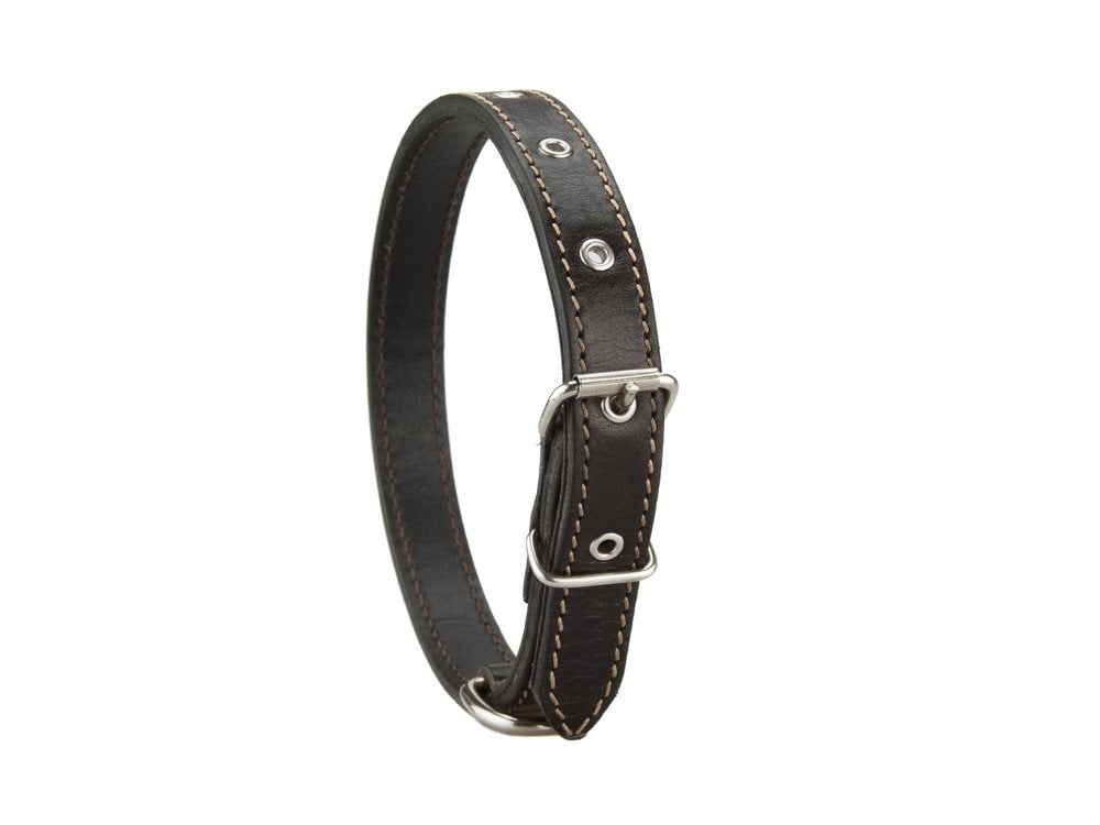 A leather collar with a metal buckle