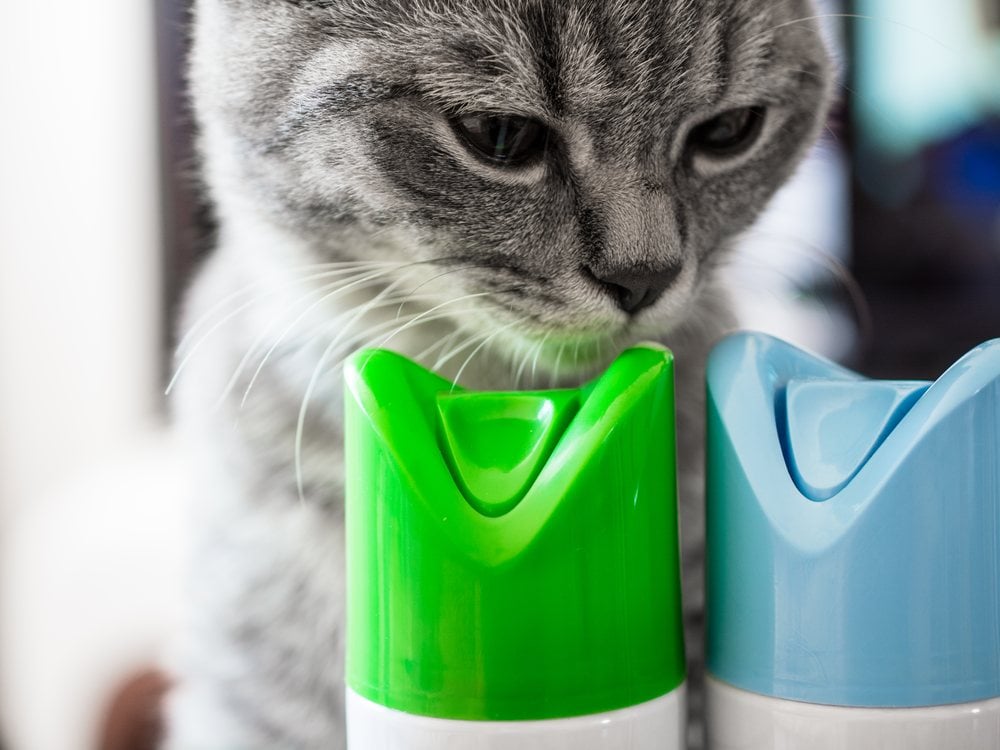 A cat sniffing two air-freshener spray cans