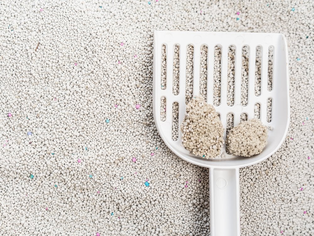 A scoop lifting clean clumps out of unscented clumping litter