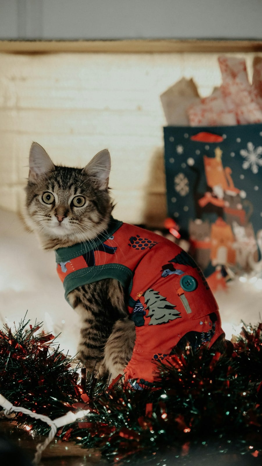 A brown tabby cat in a red and white Christmas sweater sitting among tinsel