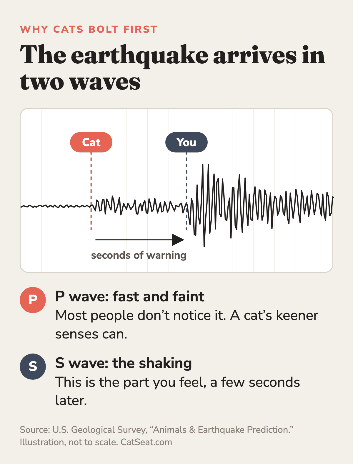 Seismograph illustration showing a cat sensing the faint P wave seconds before people feel the S wave