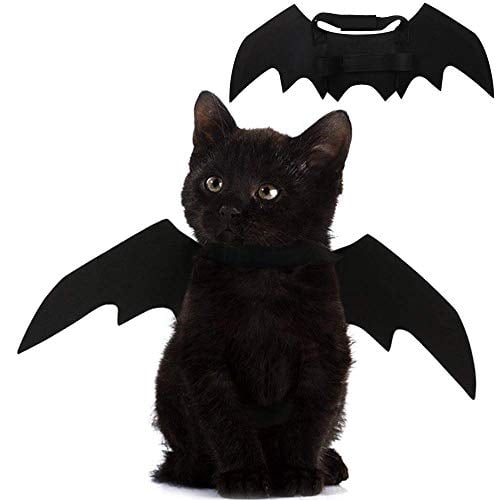Black Felt Cat Bat Wings