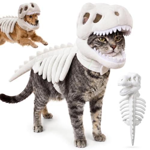 Glow-in-the-Dark Dinosaur Skeleton Costume