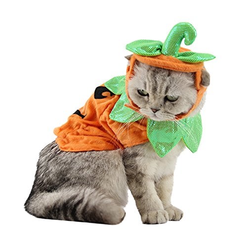 ANIAC Pumpkin Hat and Cape Set