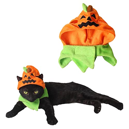 Orgrimmar Pumpkin Hat