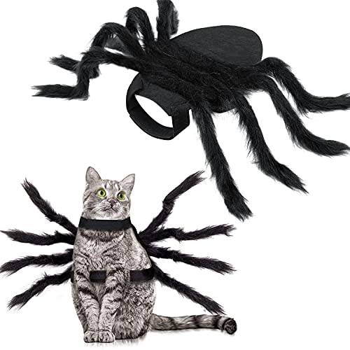 Halloween Spider Costume