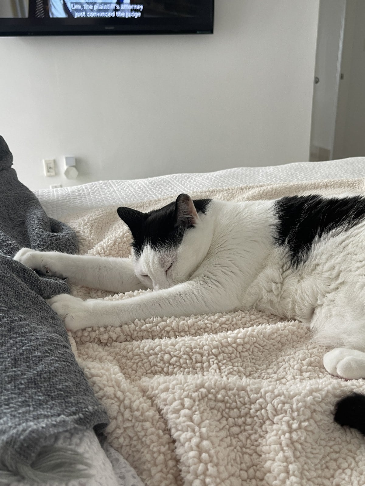 Louis asleep on a white blanket