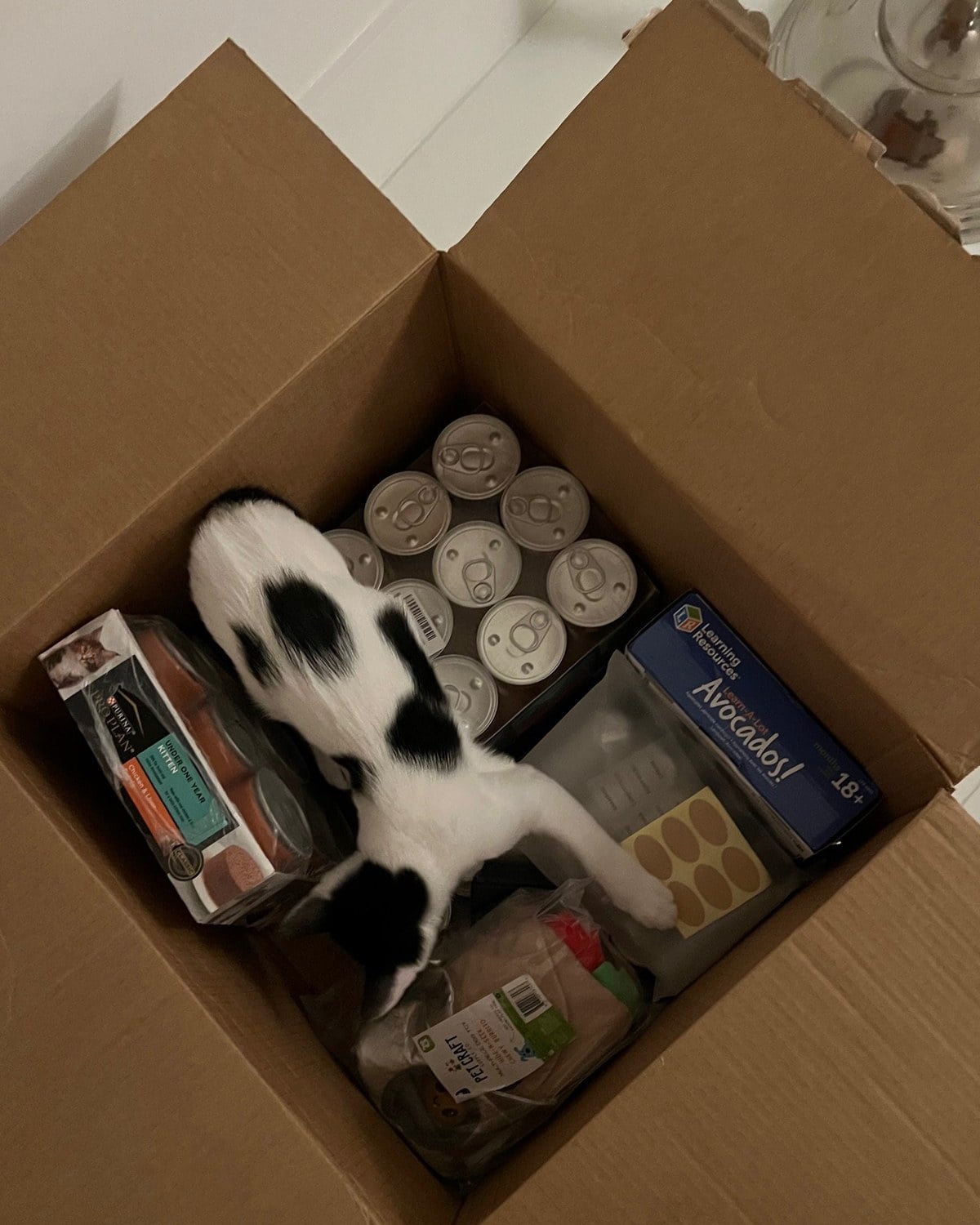 A black and white kitten sitting inside a cardboard box of canned cat food