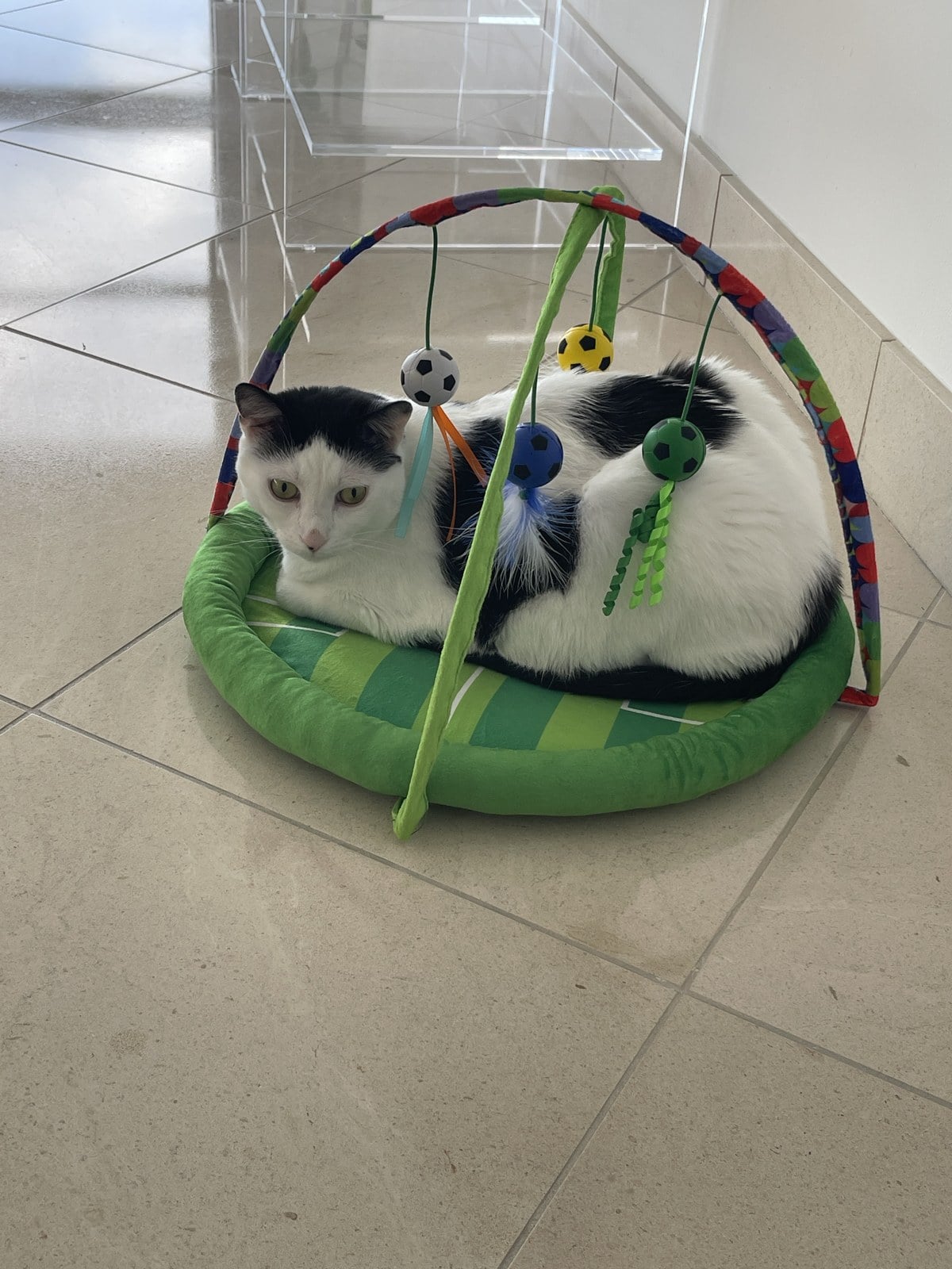 Louis lying in a green play mat with toys hanging over him