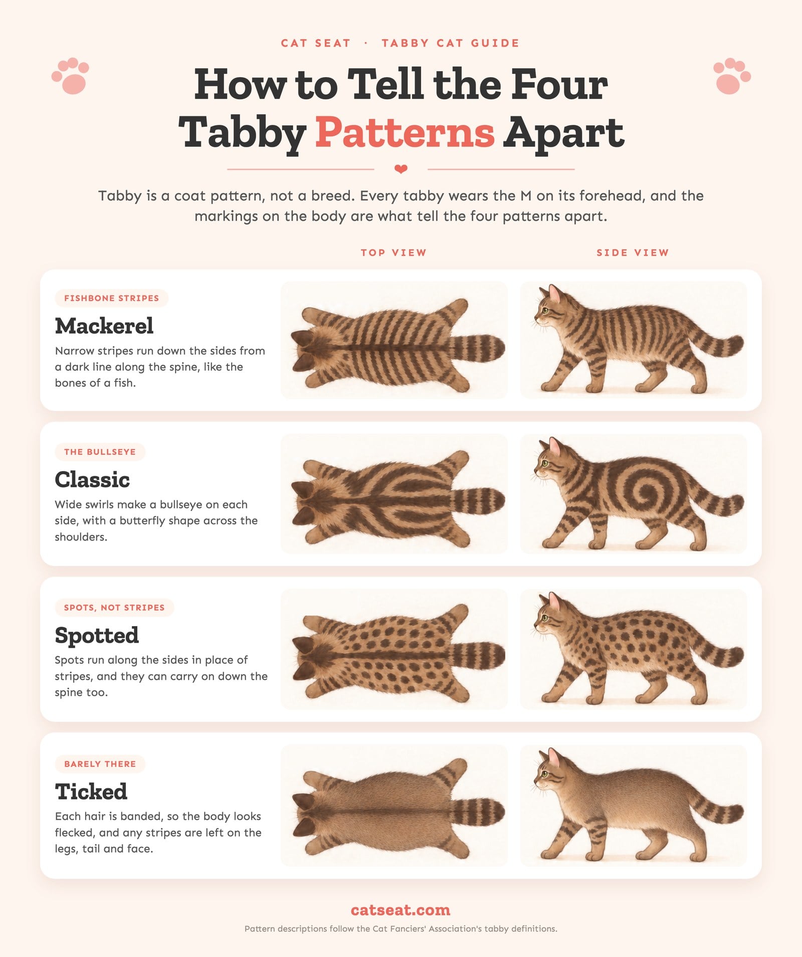 Diagram of the four tabby patterns, mackerel, classic, spotted and ticked, each shown on the same brown tabby from the top and from the side